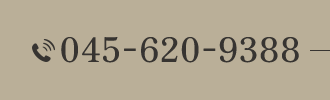 045-620-9388