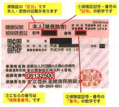 保険証の見本