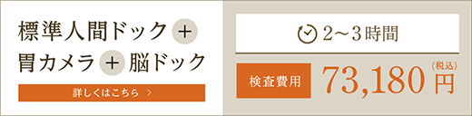 標準人間ドック＋胃カメラ＋脳ドック