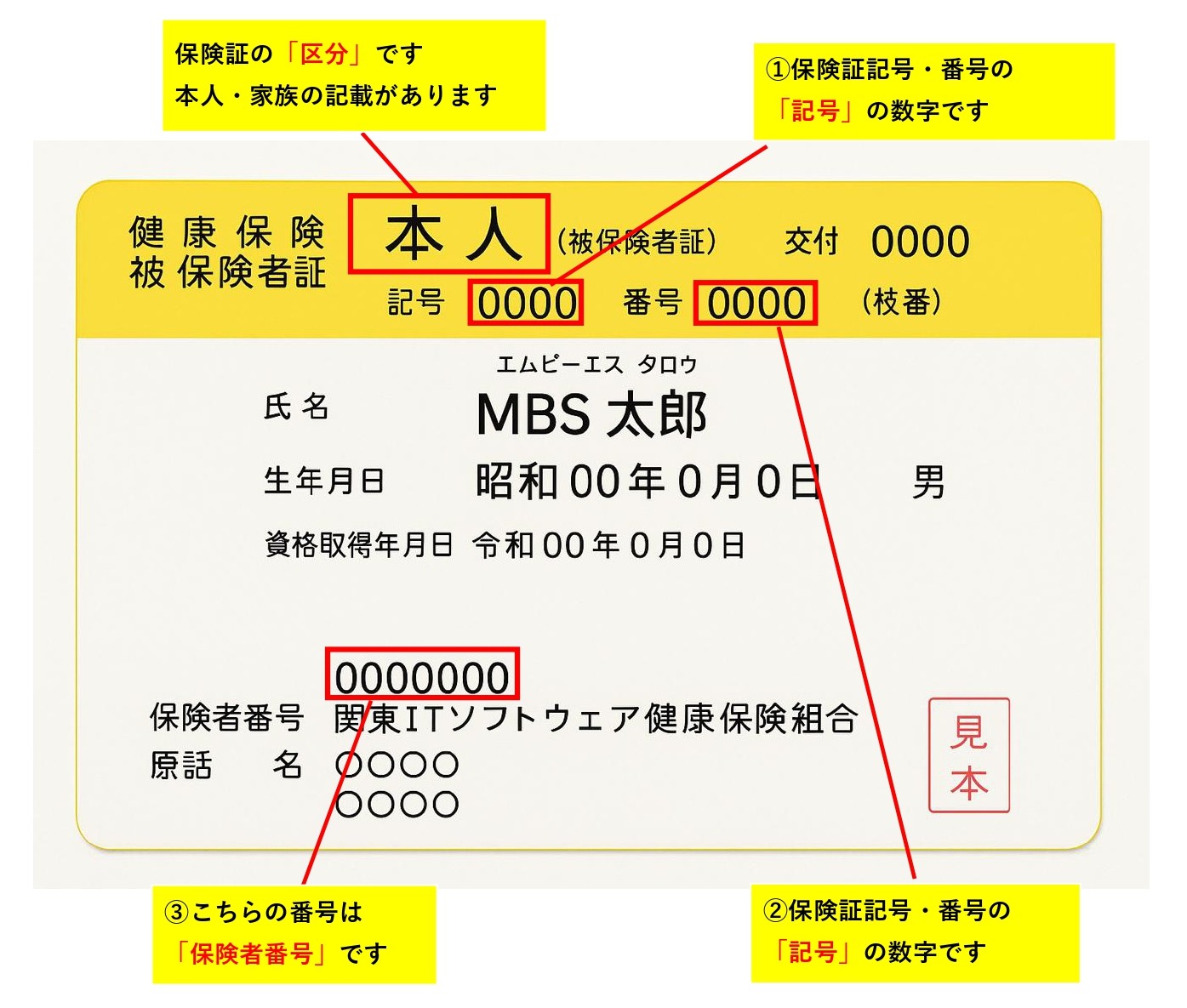 保険証の見本