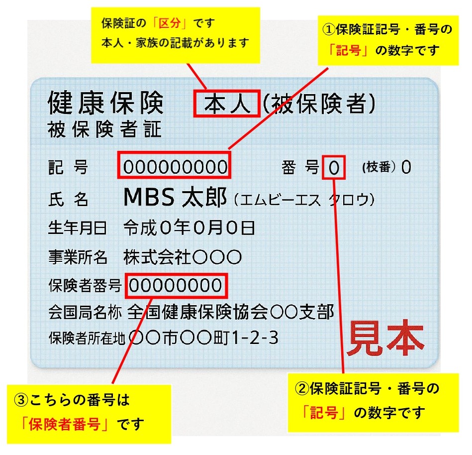 保険証の見本
