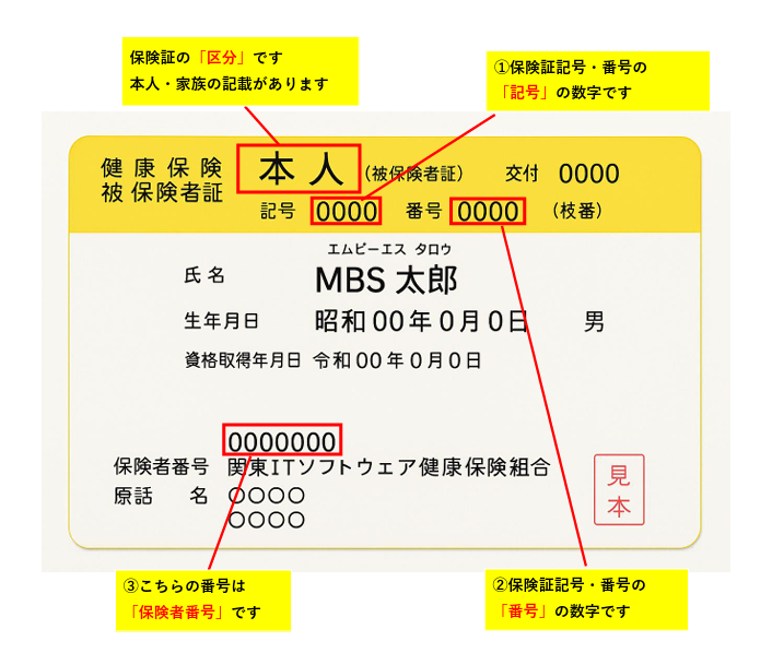 保険証の見本
