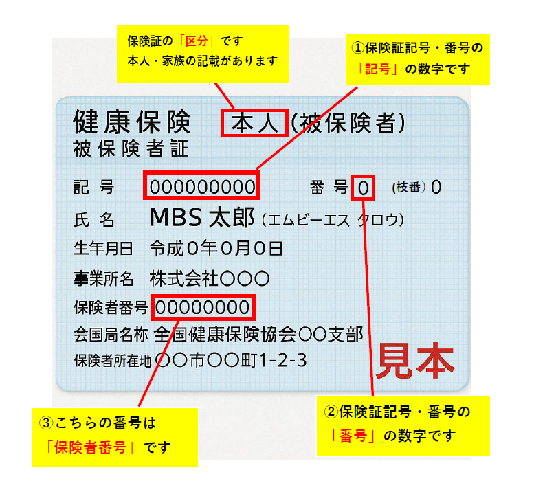 保険証の見本